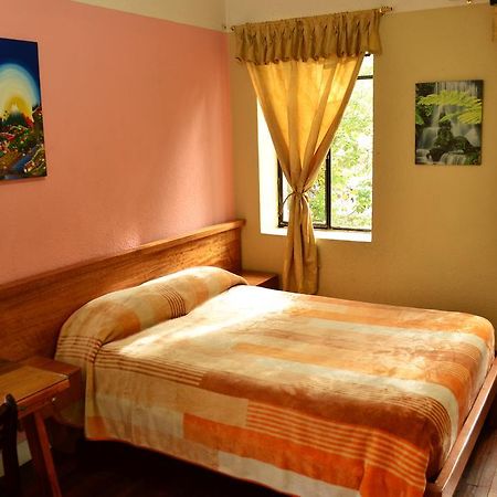 Hostal Loro Verde キト エクステリア 写真